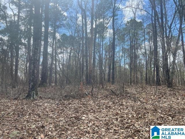 0 Ridgeway Circle, Unit 95 AND 96 Talladega, AL 35160 - Photo 5 of 10
