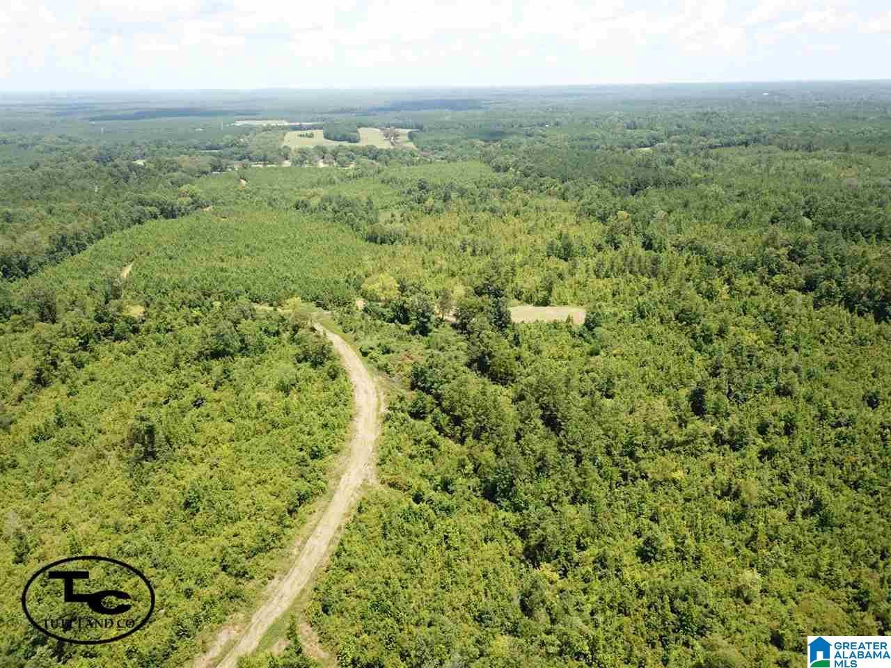 43 Highway, Unit CALVARY Demopolis, AL 36732 - Photo 6 of 9