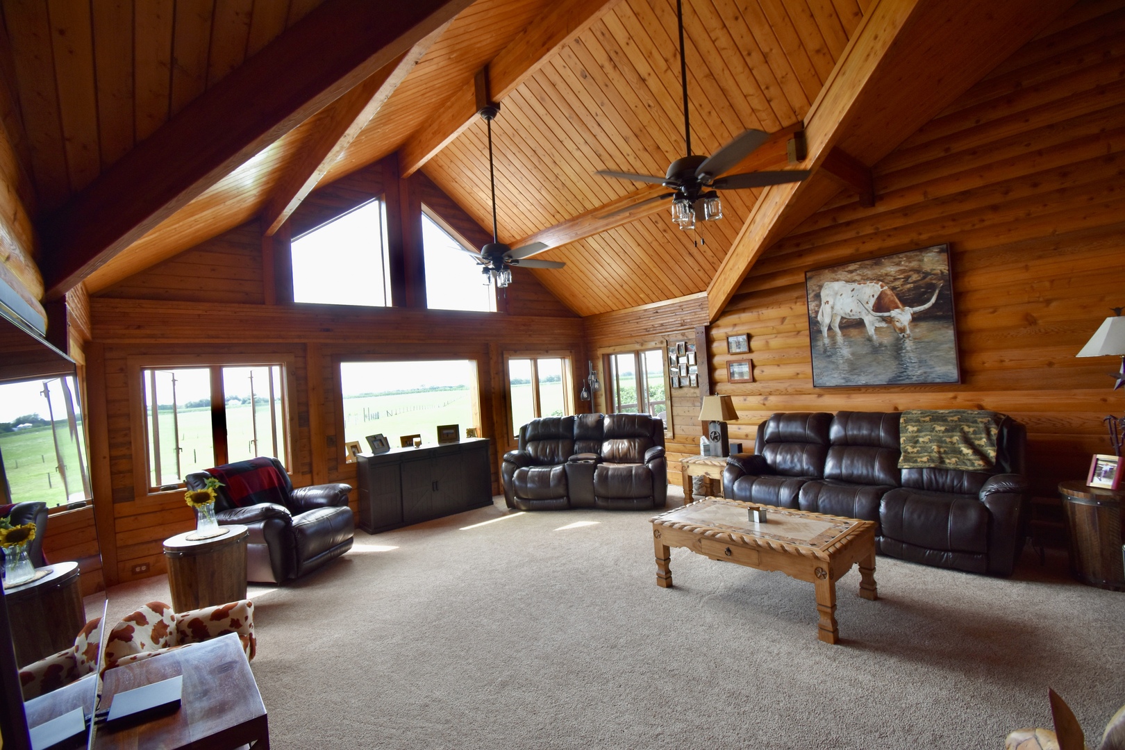 2951 North 28th Road Seneca, IL 61360 - Photo 17 of 53 a living room with furniture a couch and dresser with exposed radiator