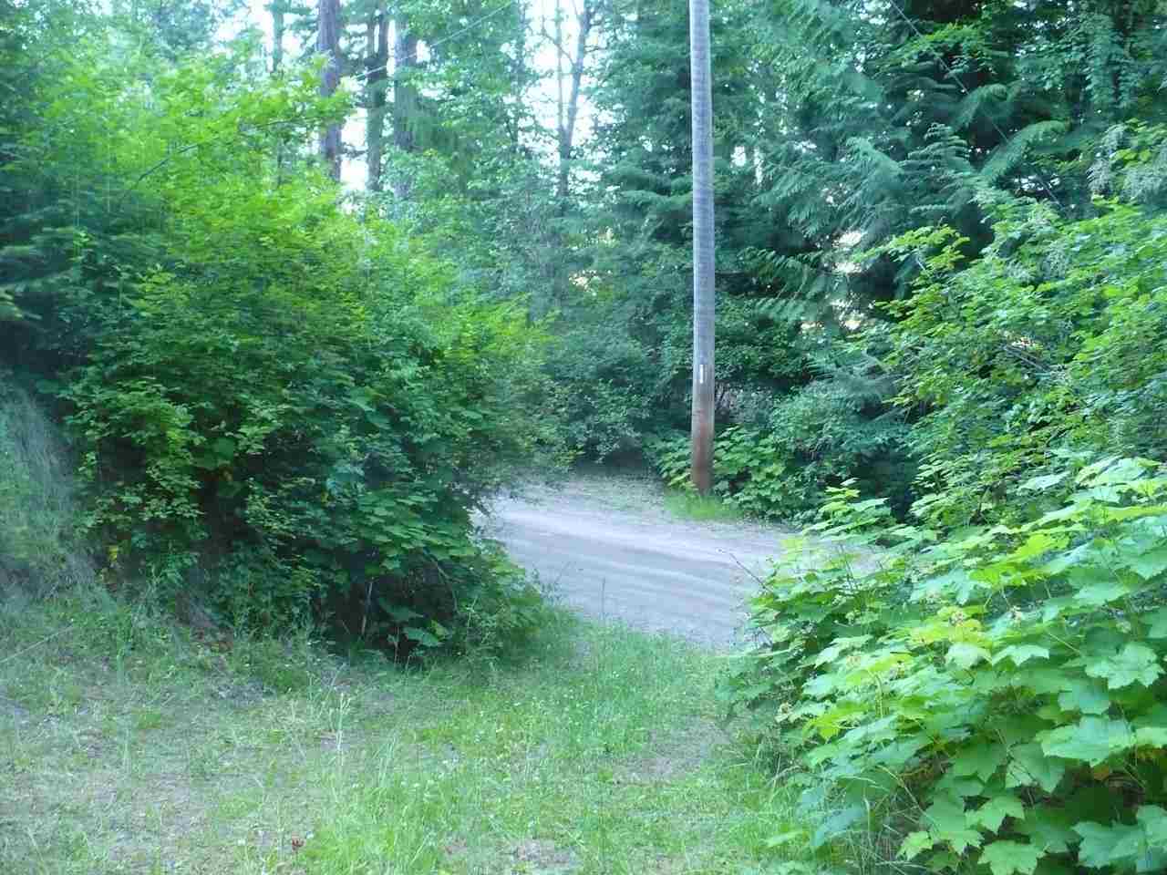 4085 Tamarack Bay Road Loon Lake, WA 99148 - Photo 2 of 9 Gallery Image 2