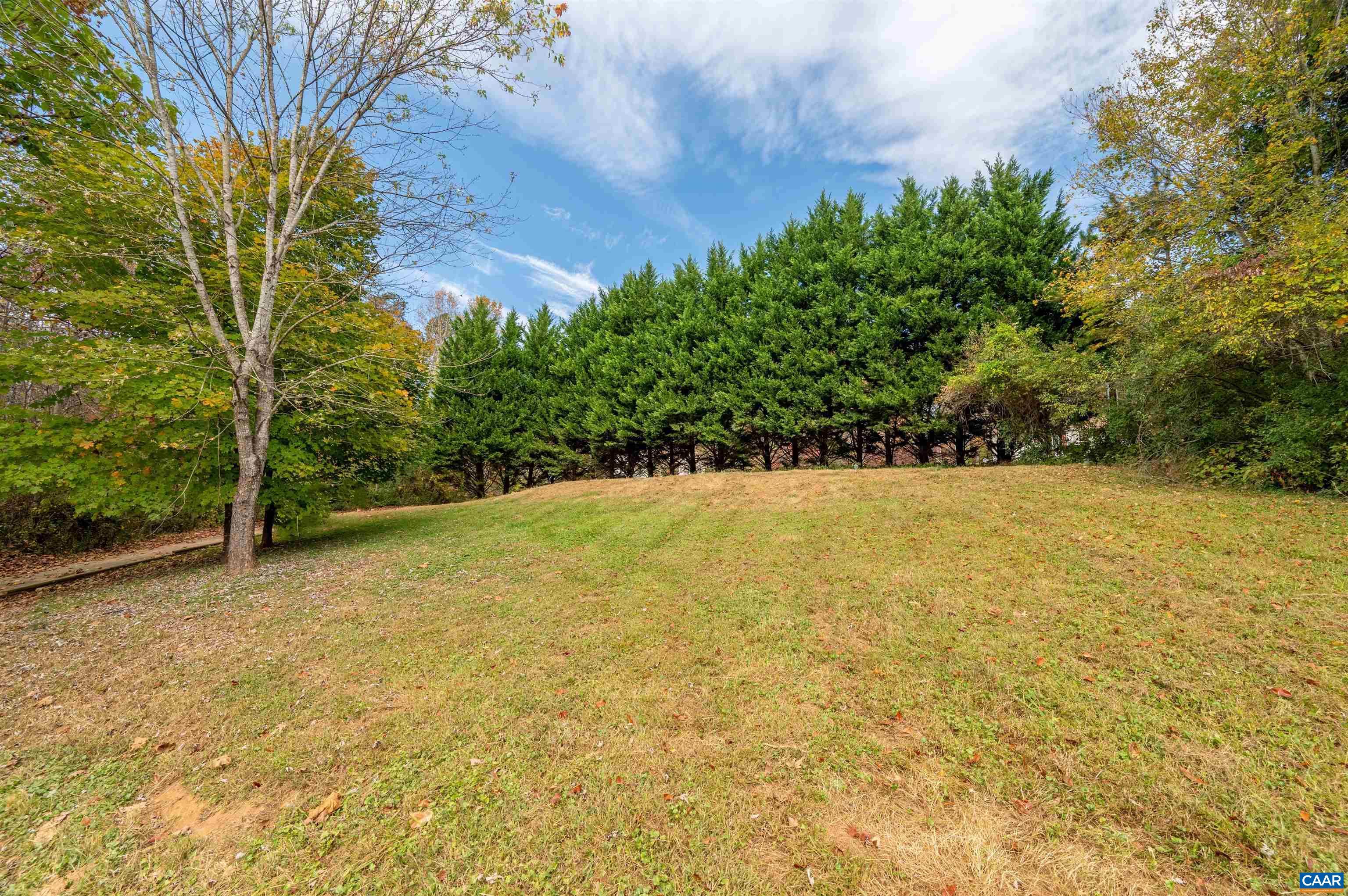 328 West Daffodil Road Ruckersville, VA 22968 - Photo 37 of 67 a view of a yard with a trees