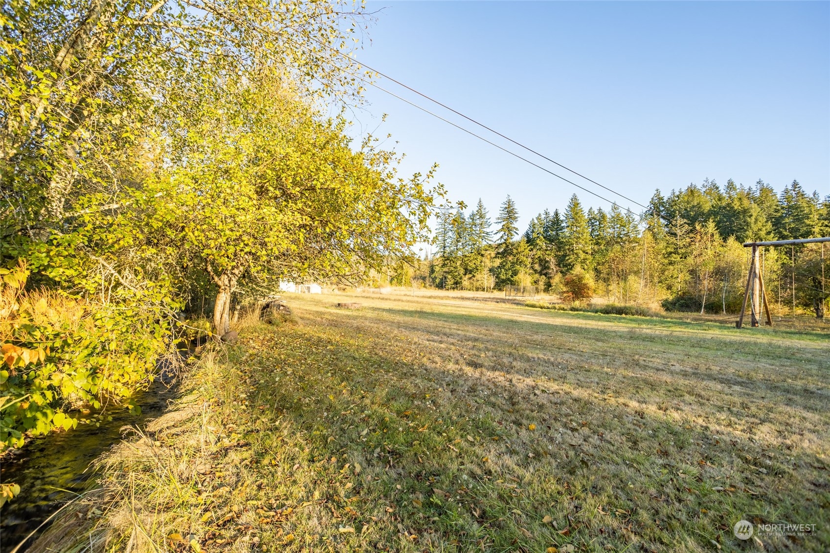 150 Logan Hill Road Chehalis, WA 98532 - Photo 37 of 40 a view of yard with large trees