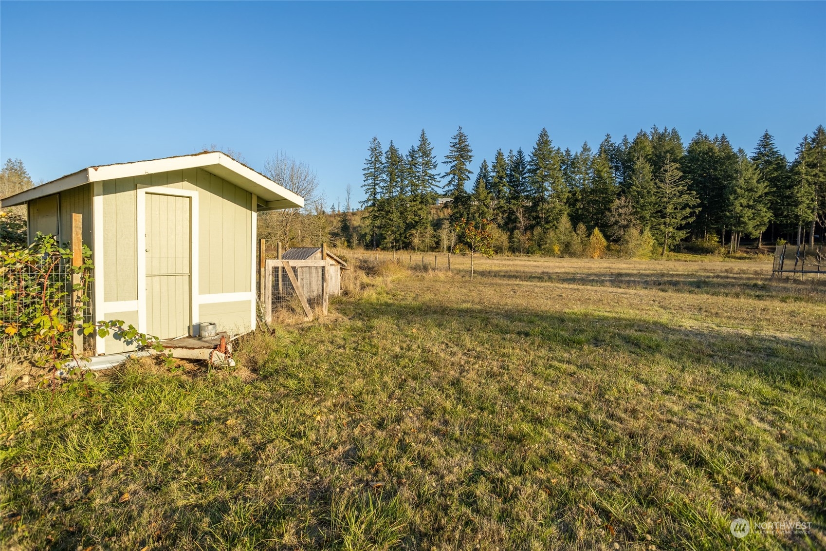 150 Logan Hill Road Chehalis, WA 98532 - Photo 38 of 40 a front view of a house with a yard
