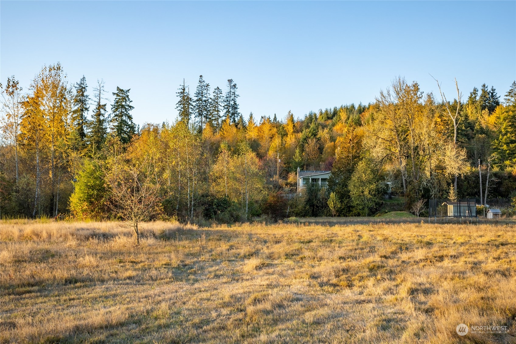 150 Logan Hill Road Chehalis, WA 98532 - Photo 40 of 40 a view of yard
