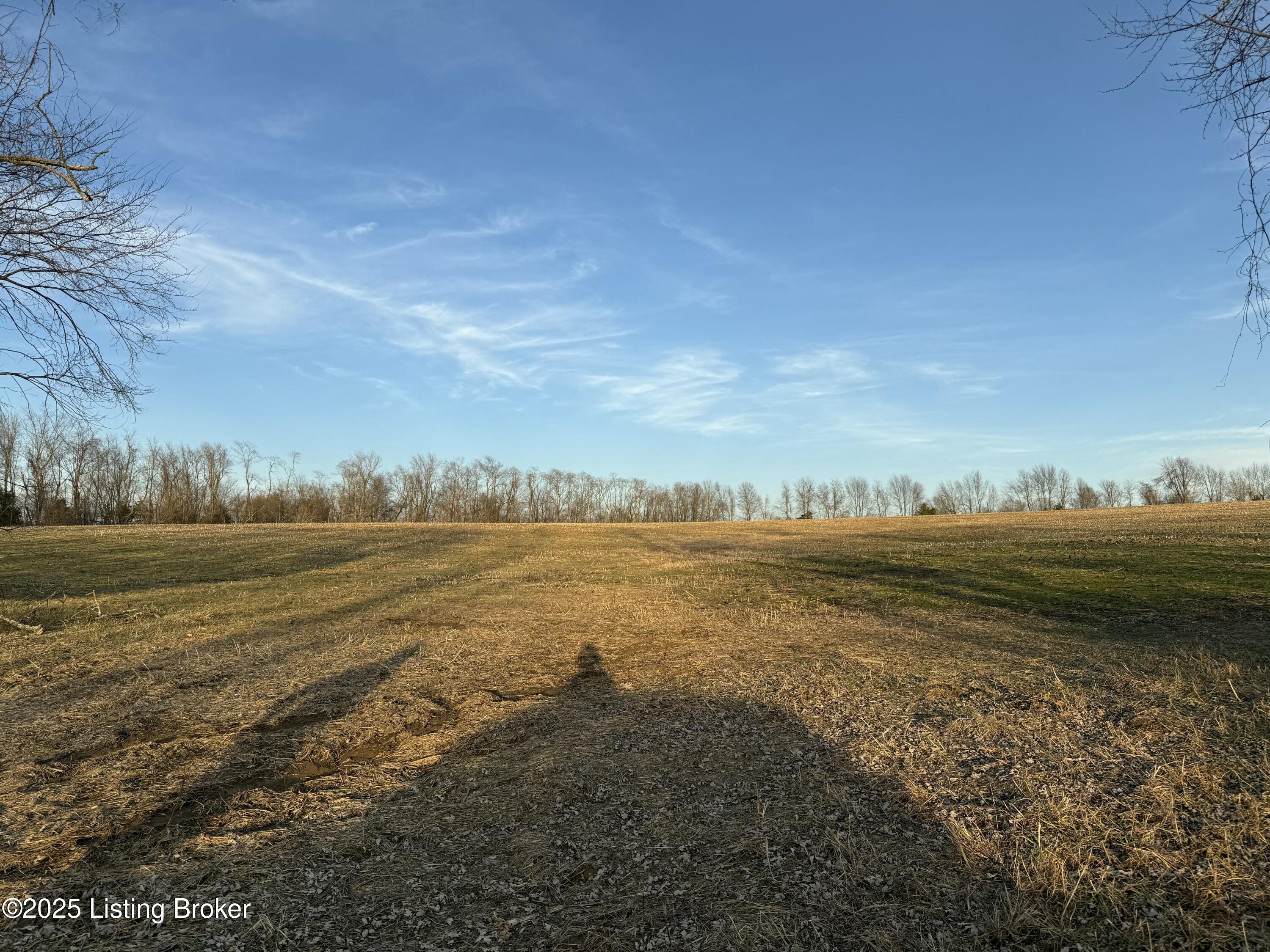 0 Lawrenceburg Road Bloomfield, KY 40008 - Photo 5 of 10 tempImagevA0jG3