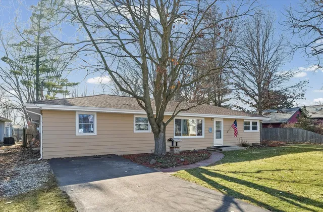 a view of a yard with a house and a large tree