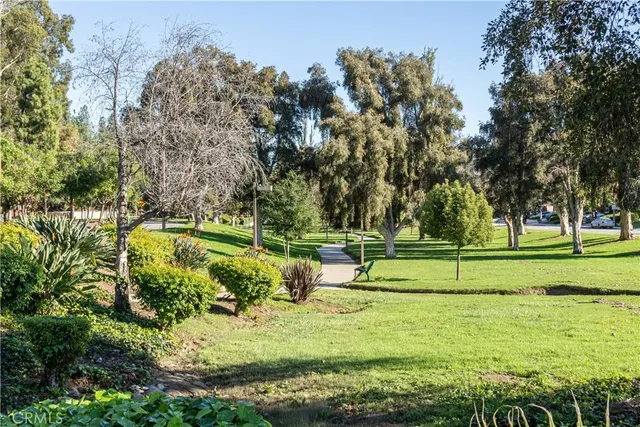 a view of a park with trees and plants