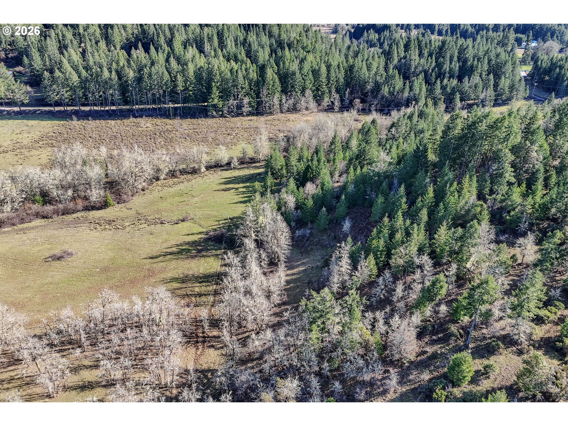 0 Upper Camas Road Camas Valley, OR 97416 - Photo 13 of 26 Gallery Image 13
