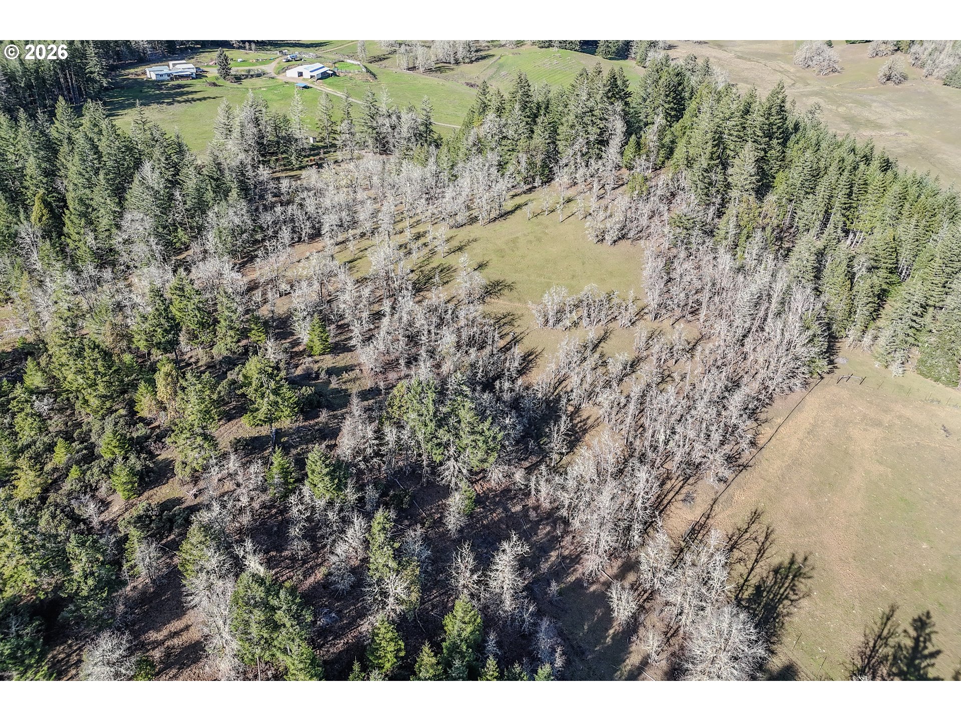 0 Upper Camas Road Camas Valley, OR 97416 - Photo 16 of 26 Gallery Image 16