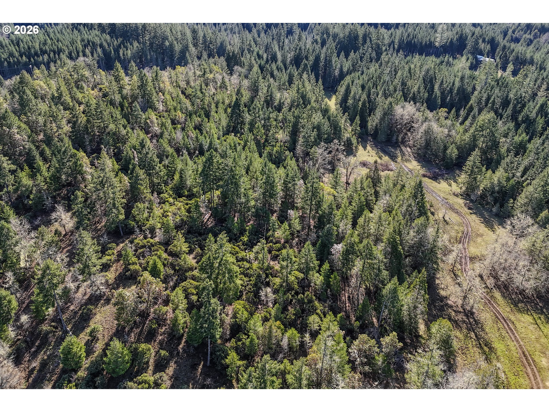0 Upper Camas Road Camas Valley, OR 97416 - Photo 8 of 26 Gallery Image 8
