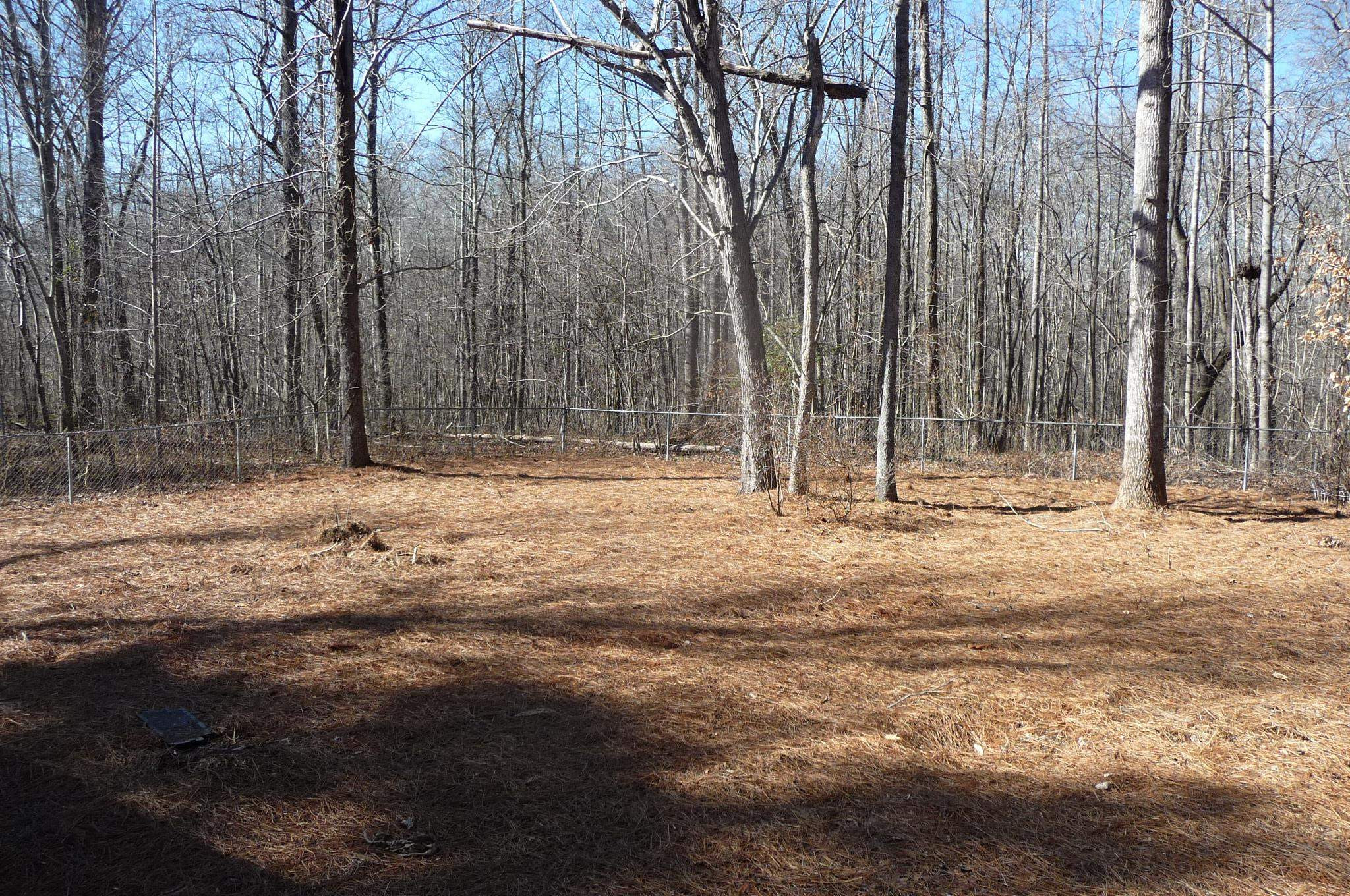 145 Junior Road Timberlake, NC 27583 - Photo 8 of 12 Photo 9