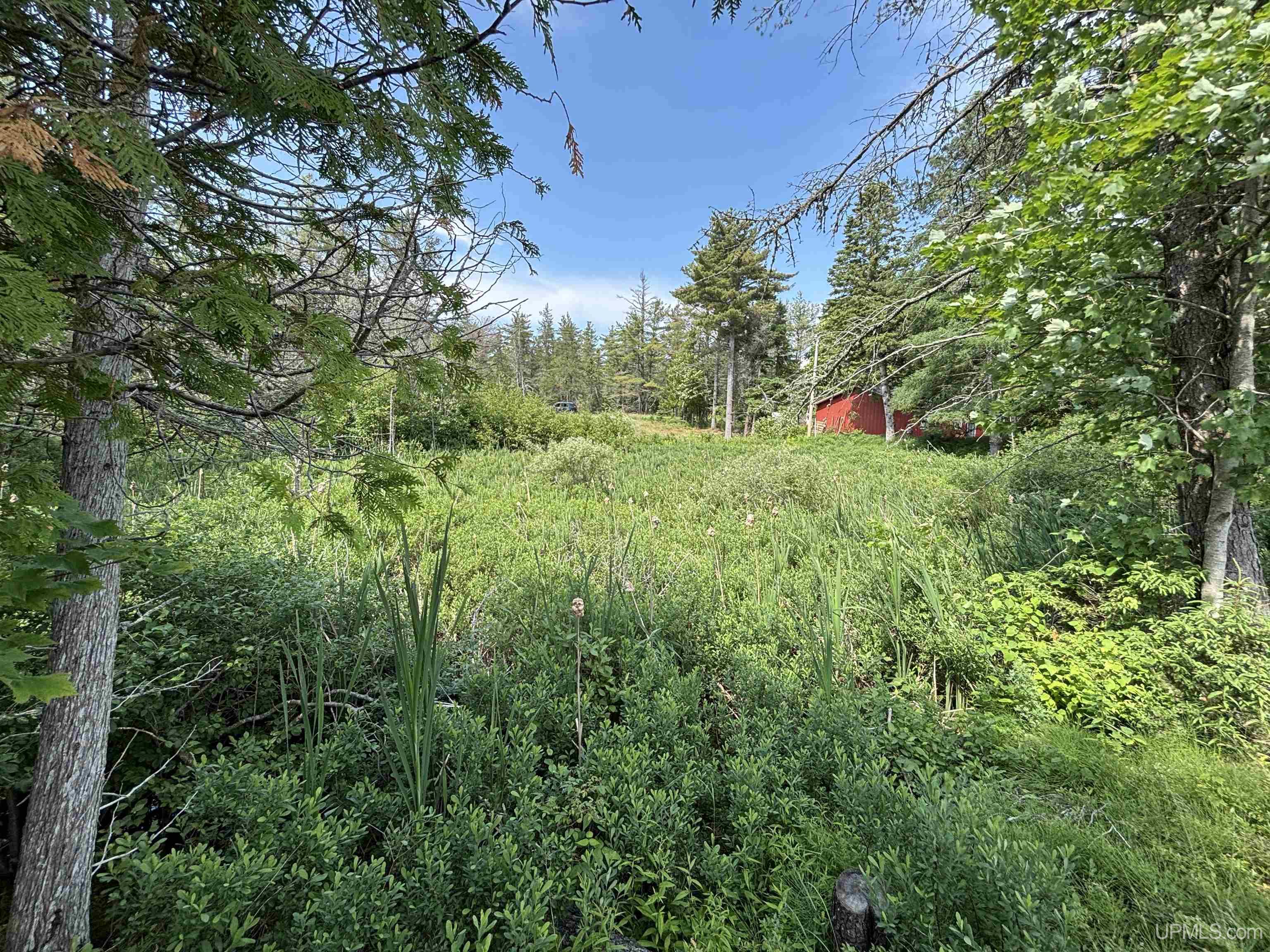 Tbd West Beach Road Naubinway, MI 49762 - Photo 27 of 45