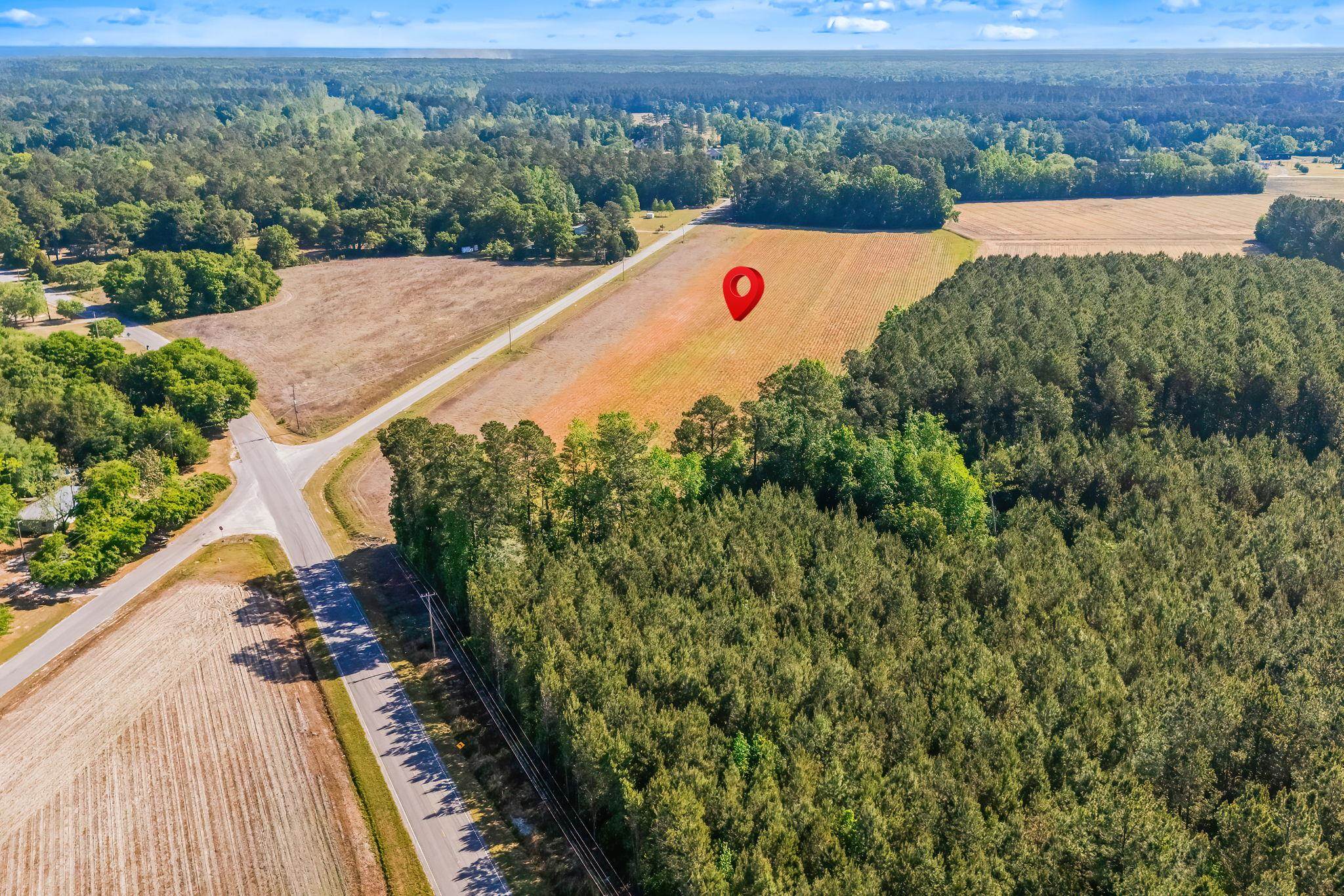 Tbd Ray Road Hemingway, SC 29554 - Photo 19 of 24