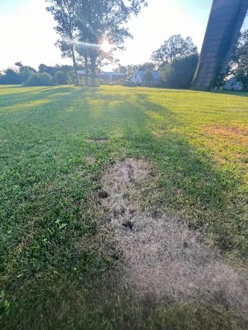 a view of an outdoor space and a yard