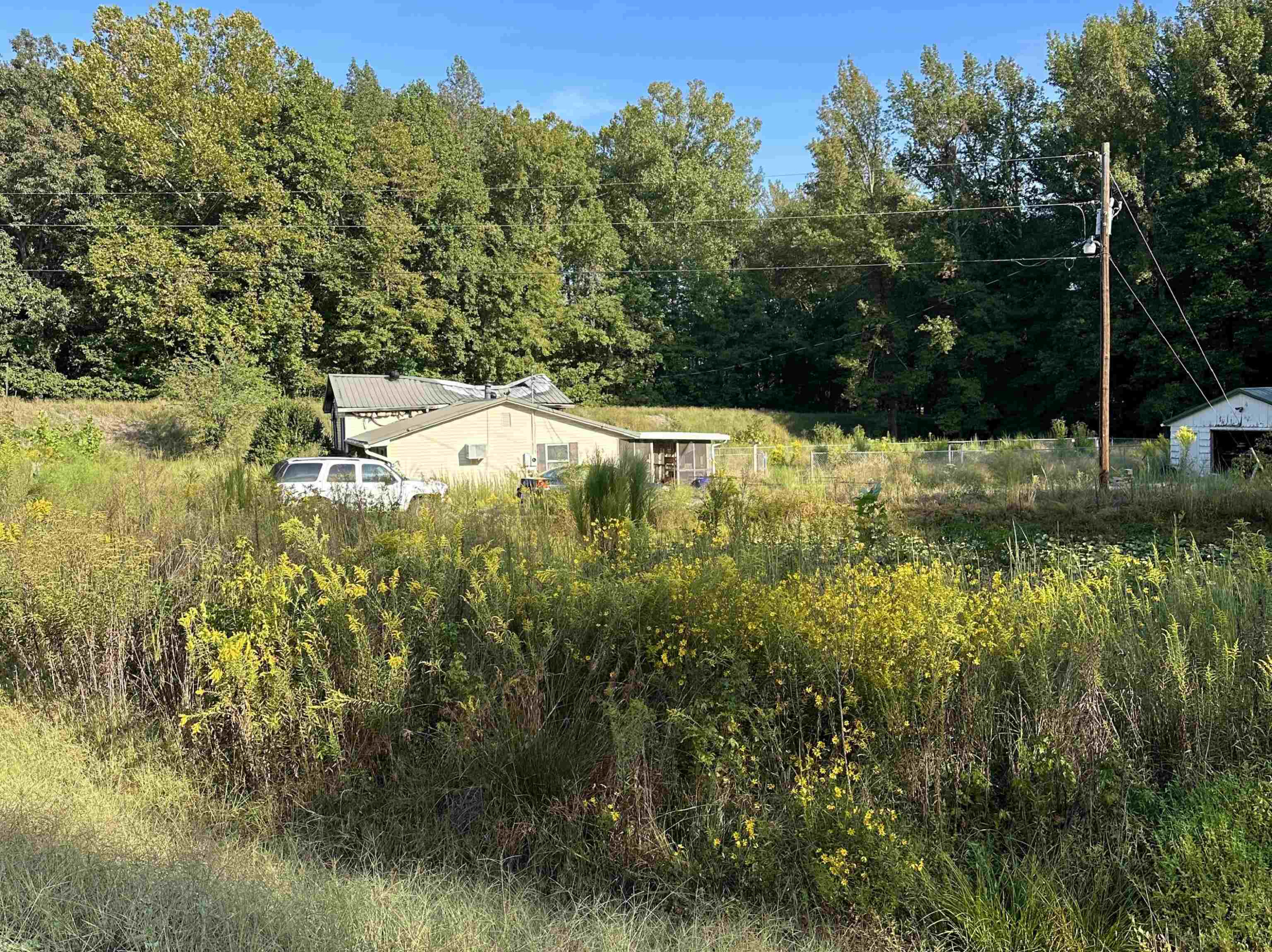 17 McAbee Road Beech Bluff, TN 38313 - Photo 9 of 12 Photo 9
