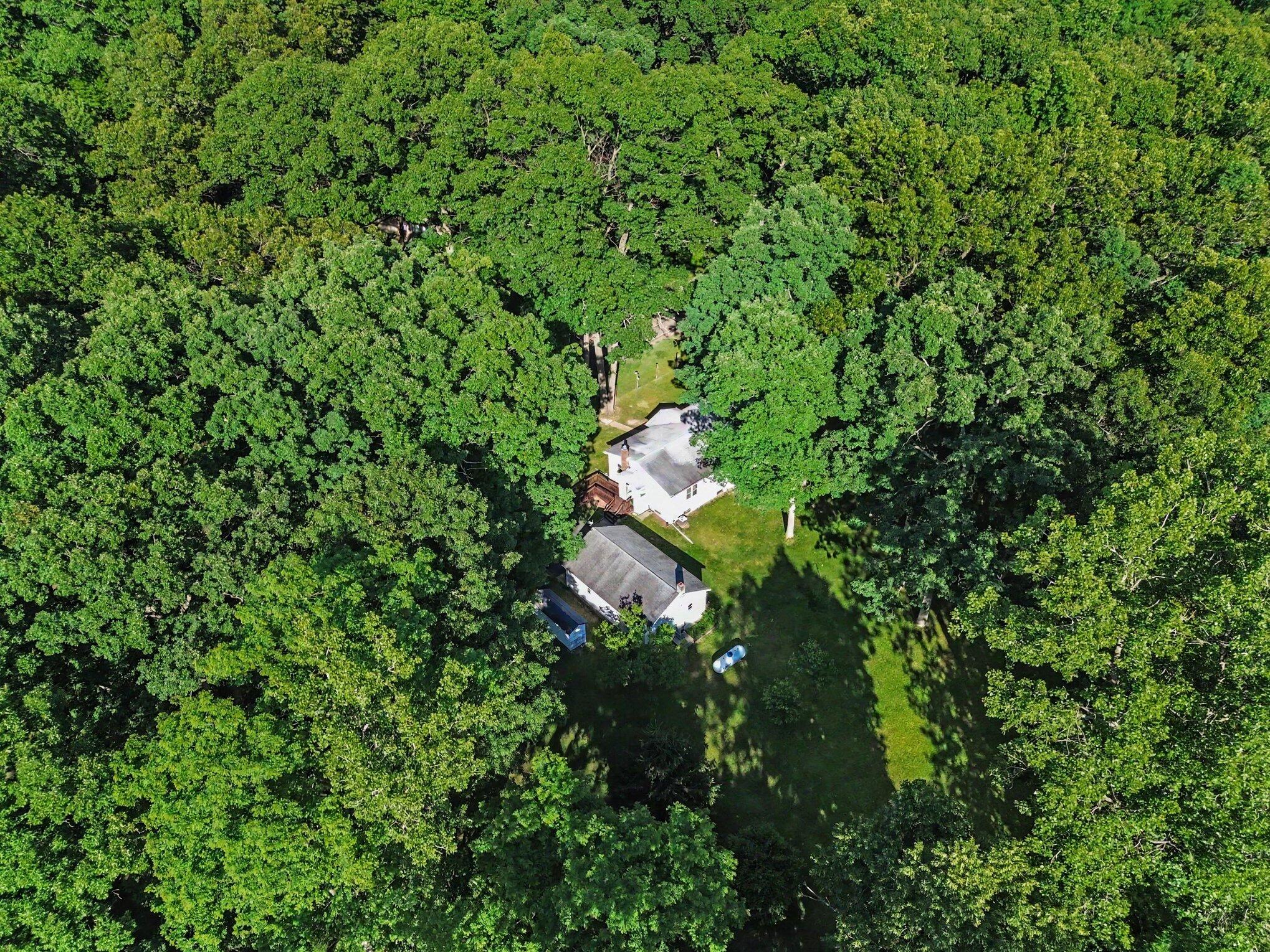 4200 Albion Road Concord, MI 49237 - Photo 4 of 33 033_file_8939