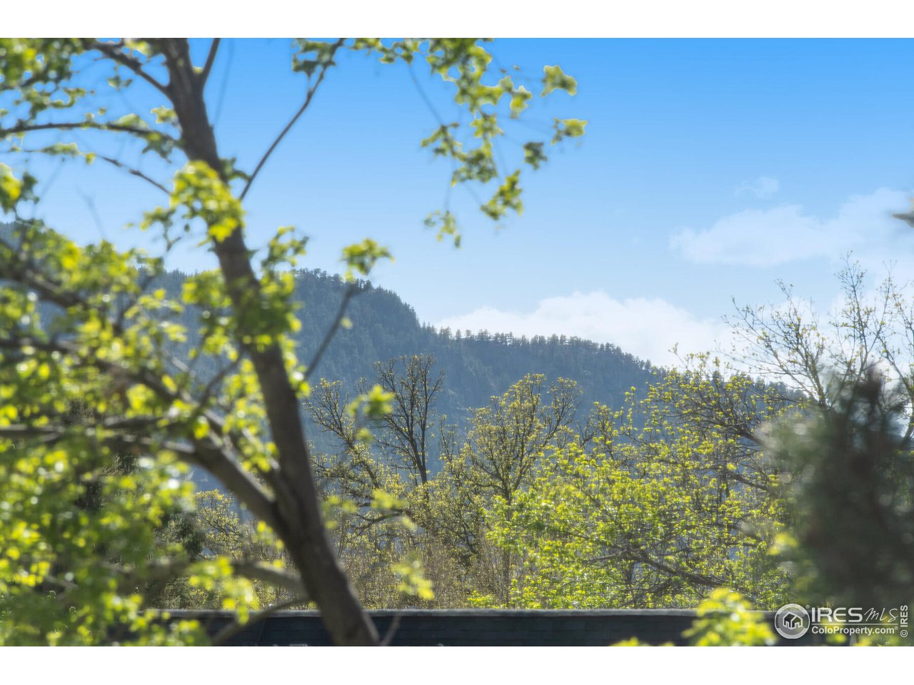2435 Bluff Street Boulder, CO 80304 - Photo 10 of 33 View From Kitchen Deck
