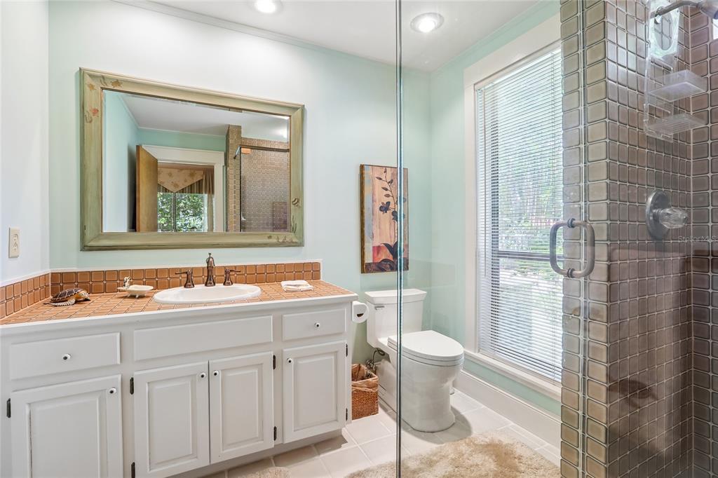 17810 Crawley Road Odessa, FL 33556 - Photo 27 of 76