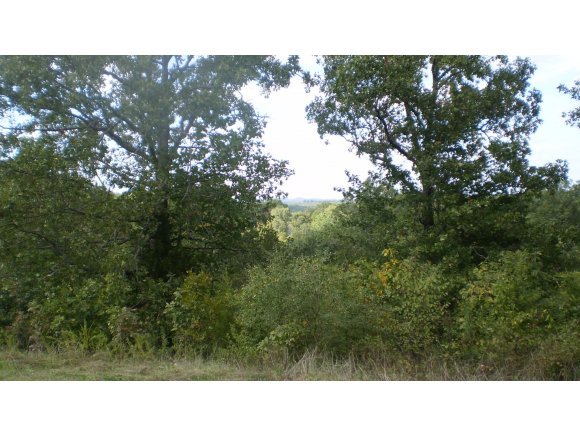 Craig Road Walnut Shade, MO 65771 - Photo 1 of 1 Primary Photo