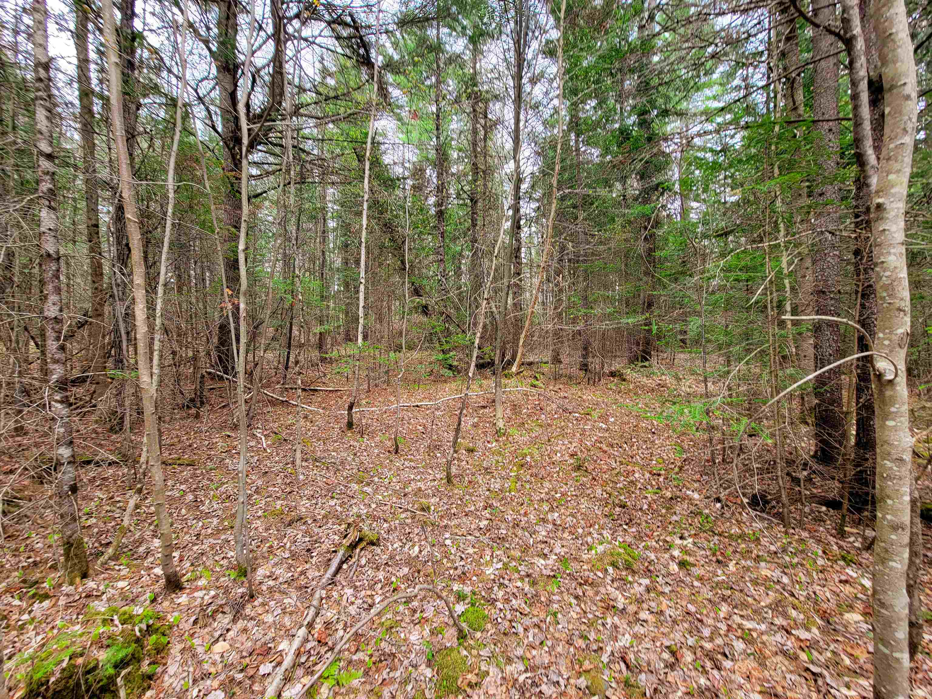 280 Guyette Road Plainfield, VT 05667 - Photo 24 of 38 Gallery Image 24