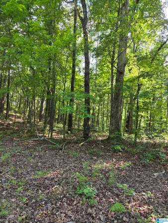 $59,000 | 0 U.S. Highway 280, Unit 5, Sylacauga, AL 35151