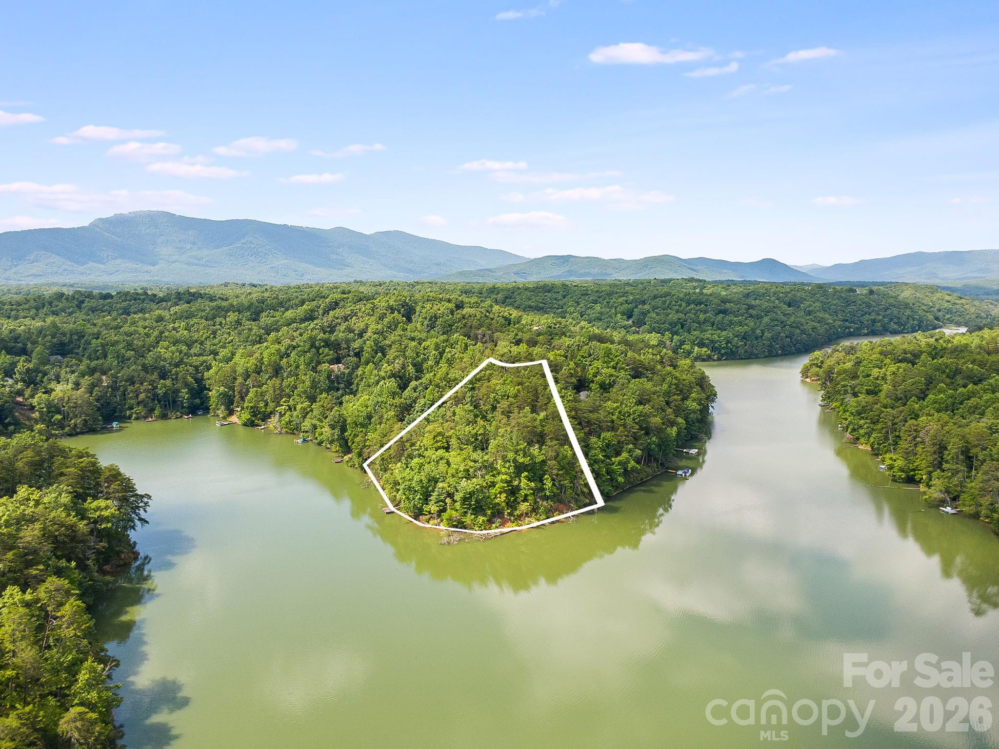 0 Canoe Drive, Unit 40 Mill Spring, NC 28756 - Photo 1 of 23