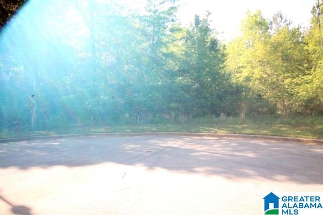 0 Almaroad Place Southwest, Unit 107 Jacksonville, AL 36265 - Photo 28 of 31