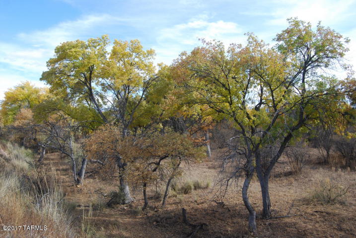 18.8 South Price Ranch Road Pearce, AZ 85625 - Photo 4 of 20