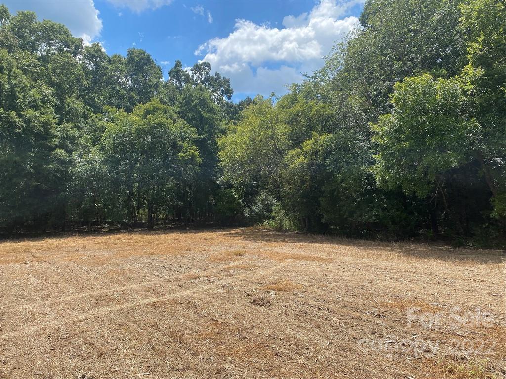 0 Roy Kindley Road Monroe, NC 28110 - Photo 2 of 3
