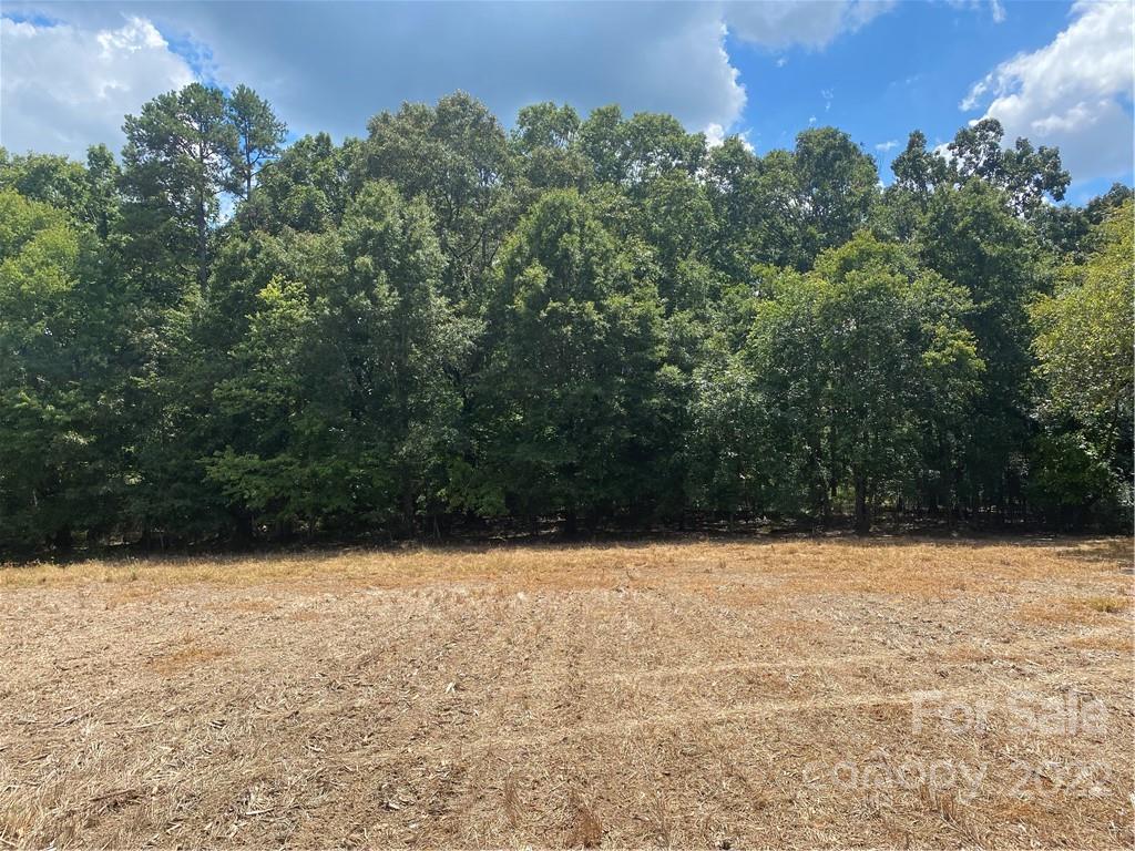 0 Roy Kindley Road Monroe, NC 28110 - Photo 3 of 3