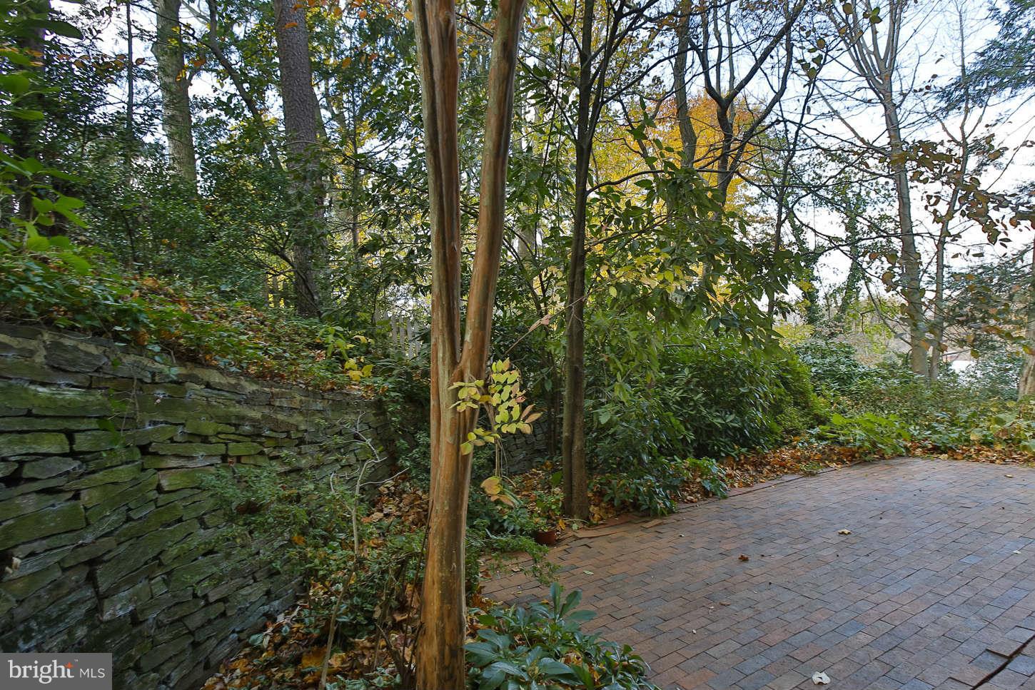 5322 Carvel Road Bethesda, MD 20816 - Photo 20 of 23 Exterior (Rear)