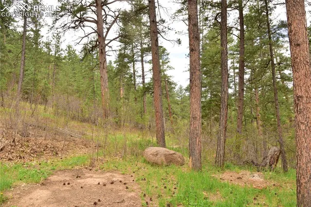 a bathroom with a toilet and shower area