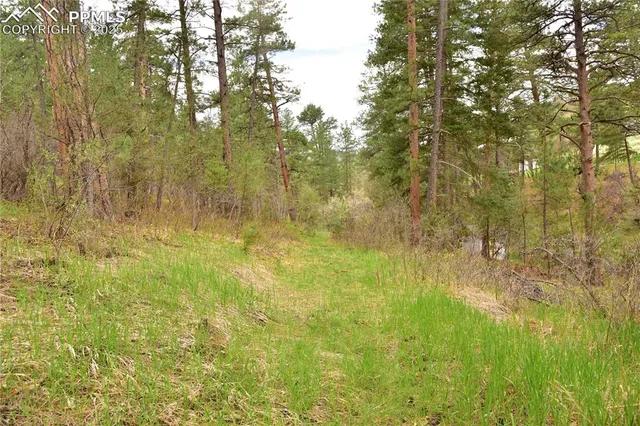 a view of residential green space