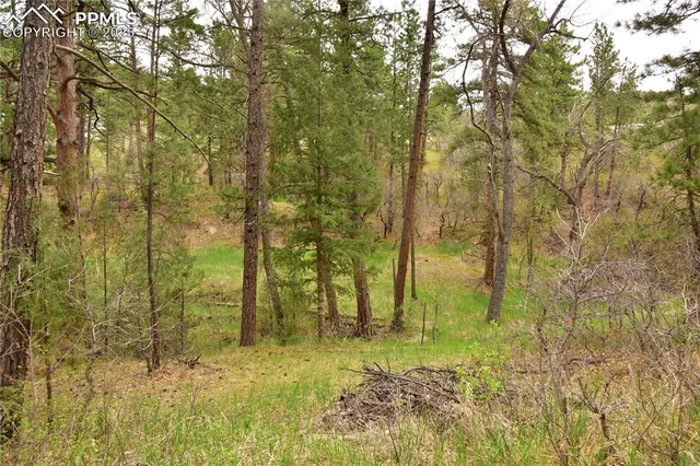 a bathroom with a small yard