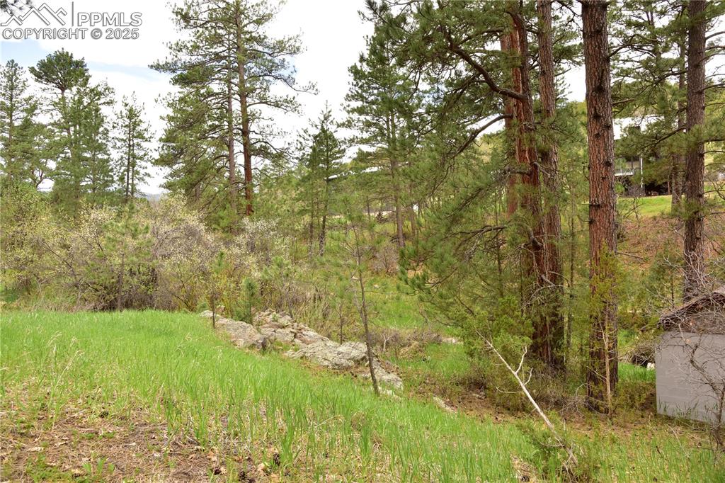 9017 Pine Avenue Beulah, CO 81023 - Photo 30 of 46 a view of yard with green space