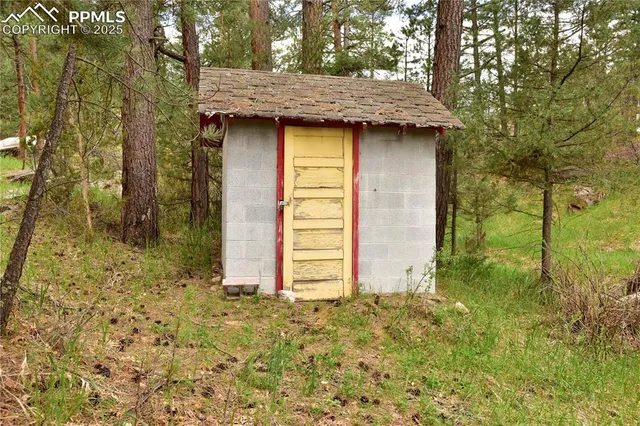 a view of a dry yard with large tree