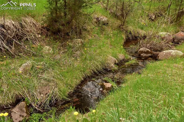 a view of a tree with a yard