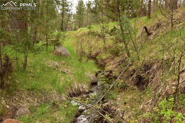 a view of residential houses with trees