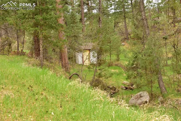 a bathroom with a yard
