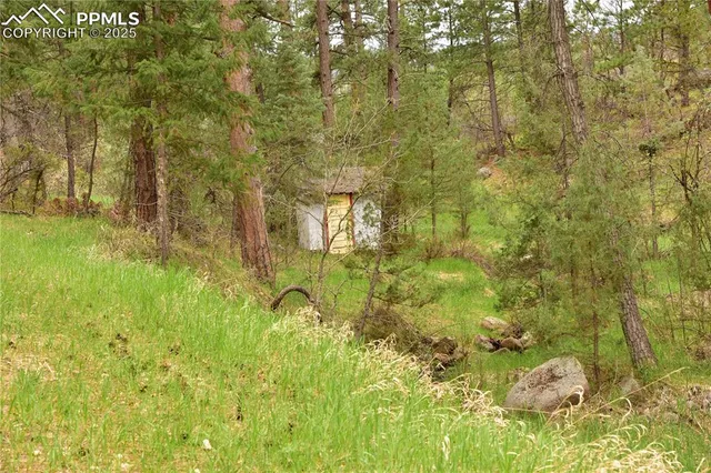 a bathroom with a yard