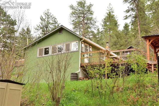 a view of a backyard with plants