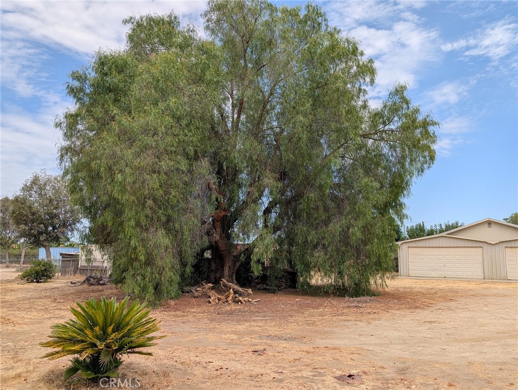 29410 Watson Road Menifee, CA 92585 - Photo 12 of 13 Peppertree