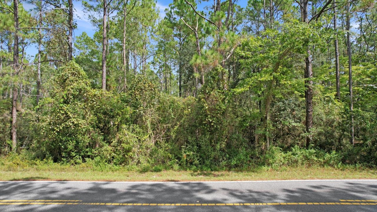 Xxx Natural Bridge Road Tallahassee, FL 32305 - Photo 4 of 4 Gallery Image 4