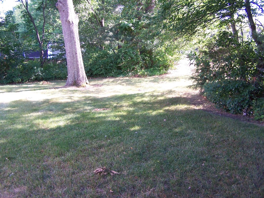 3 Smith Road Randolph, MA 02368 - Photo 3 of 24 Gallery Image 3
