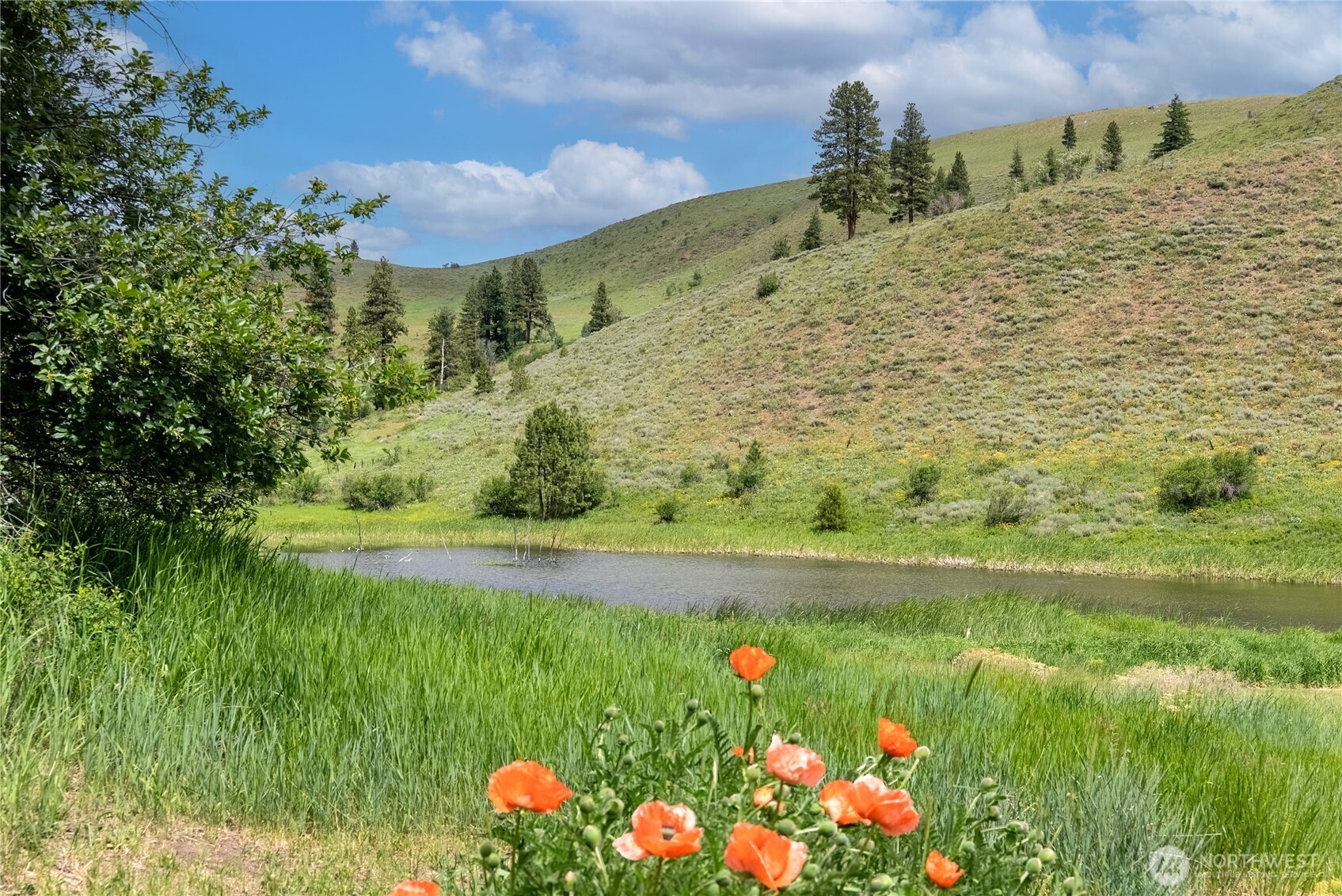 494 Rendezvous Road Winthrop, WA 98862 - Photo 33 of 40