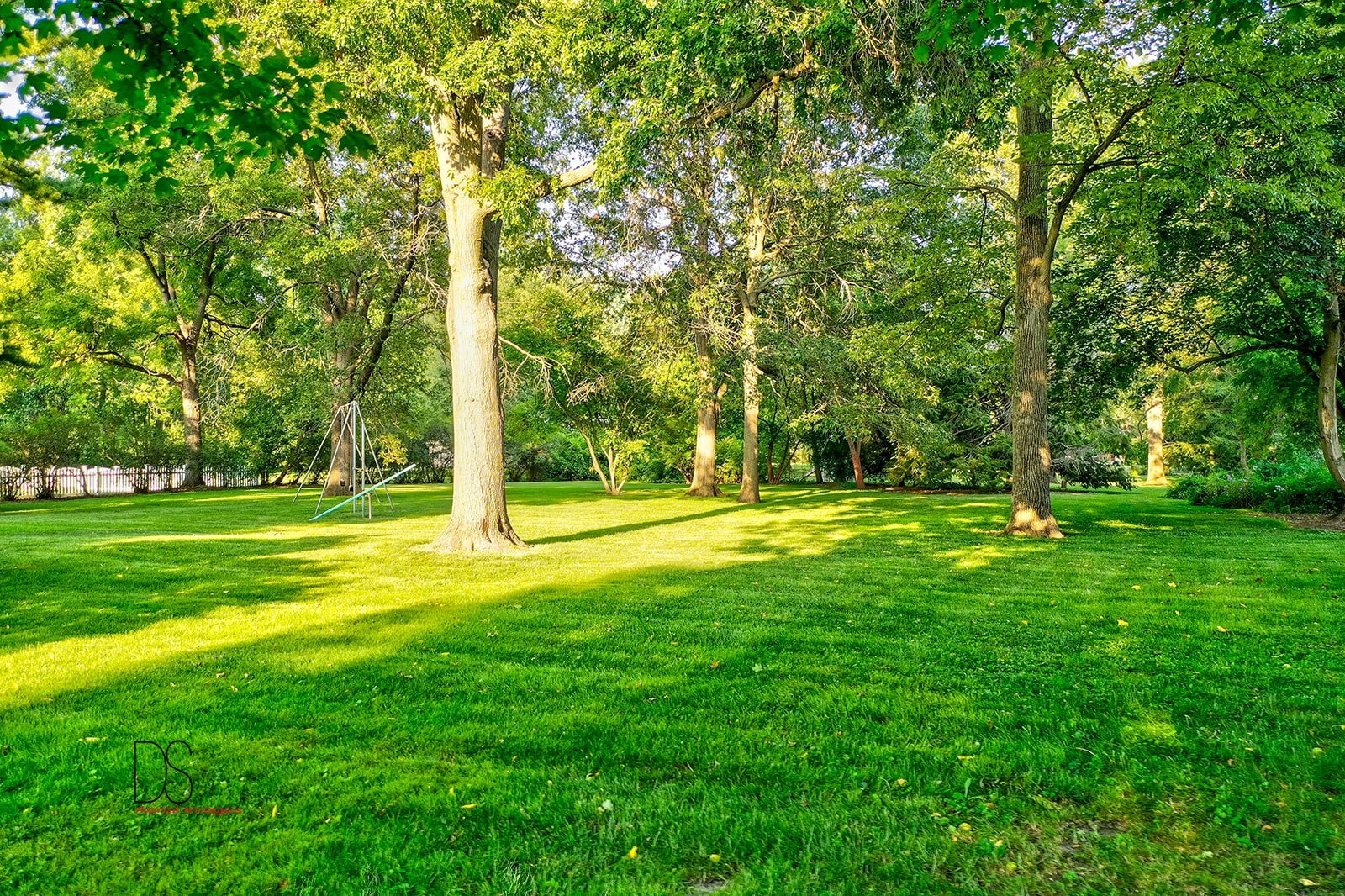 1325 South Main Street Princeton, IL 61356 - Photo 28 of 29 a view of a park with large trees