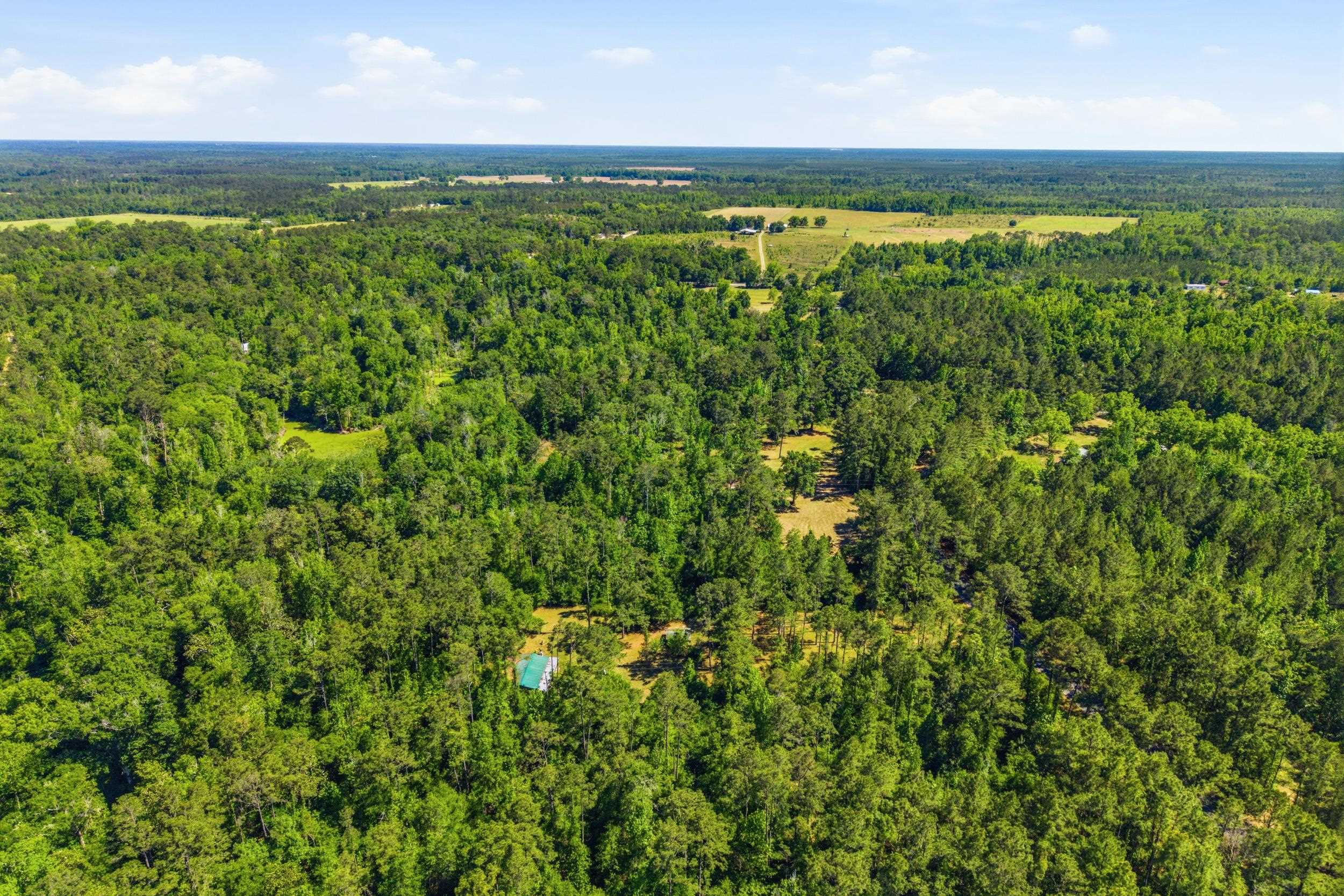 210 Winding Creek Road Quincy, FL 32351 - Photo 42 of 53