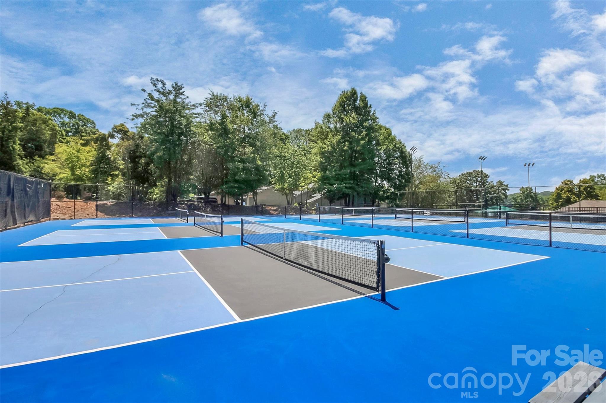 16 Woodvine Lane Clover, SC 29710 - Photo 47 of 48 a view of a tennis court
