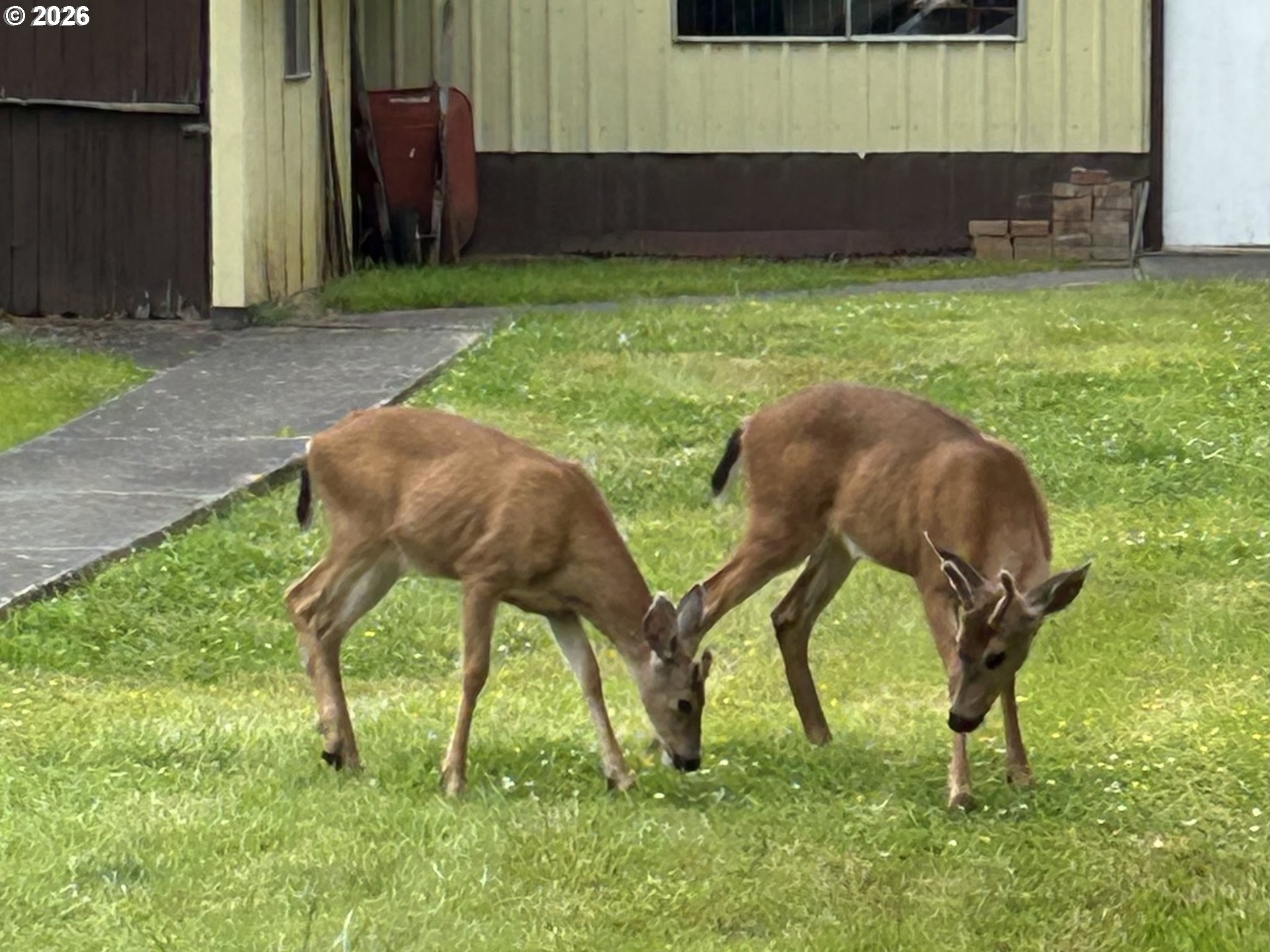 75455 Meserve Road Rainier, OR 97048 - Photo 29 of 36 Acreage
