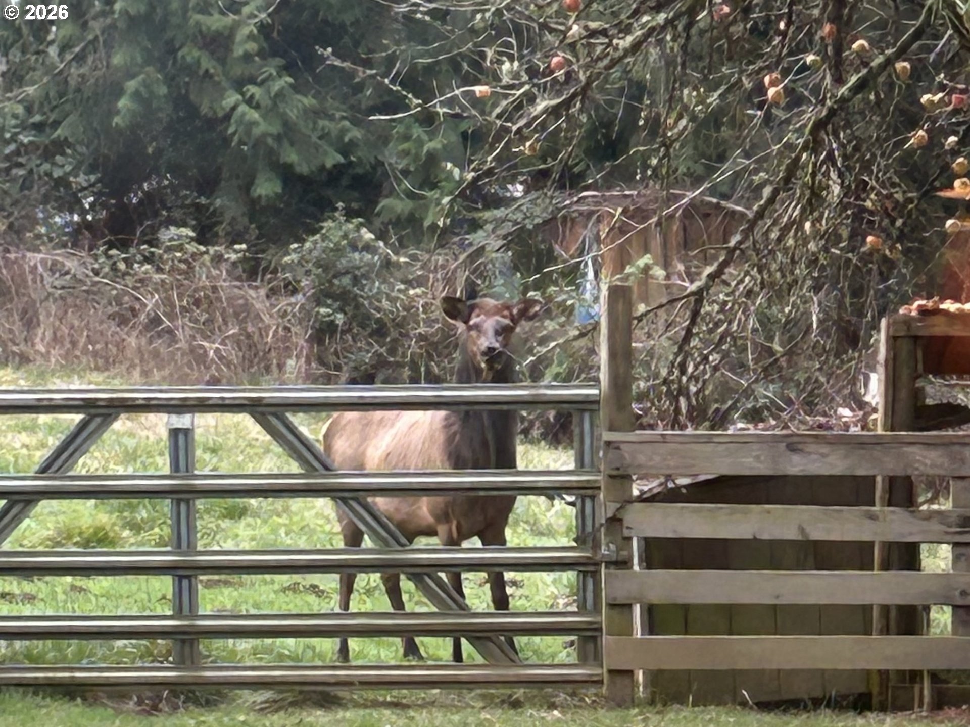 75455 Meserve Road Rainier, OR 97048 - Photo 30 of 36 Acreage